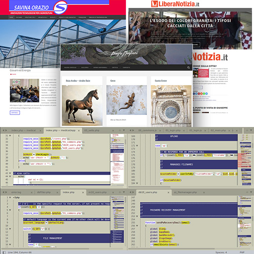 software personalizzato, siti internet, programmi, esempi forniti da realizzazioni in lecce e provincia, leverano, porto cesareo, copertino, nardò, galatone, galatina, veglie, carmiano, salice salentino